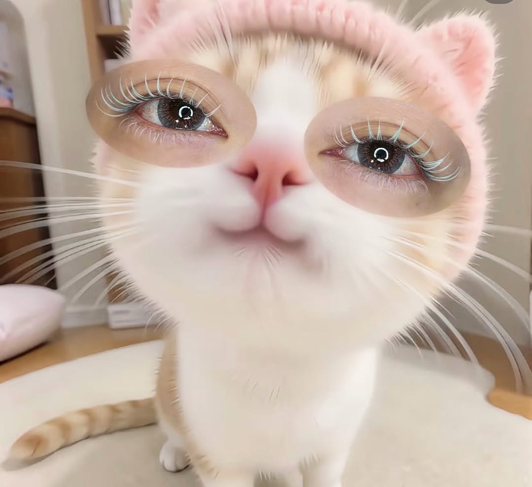 Instagram 台灣 繁中 美睫 post thumbnail