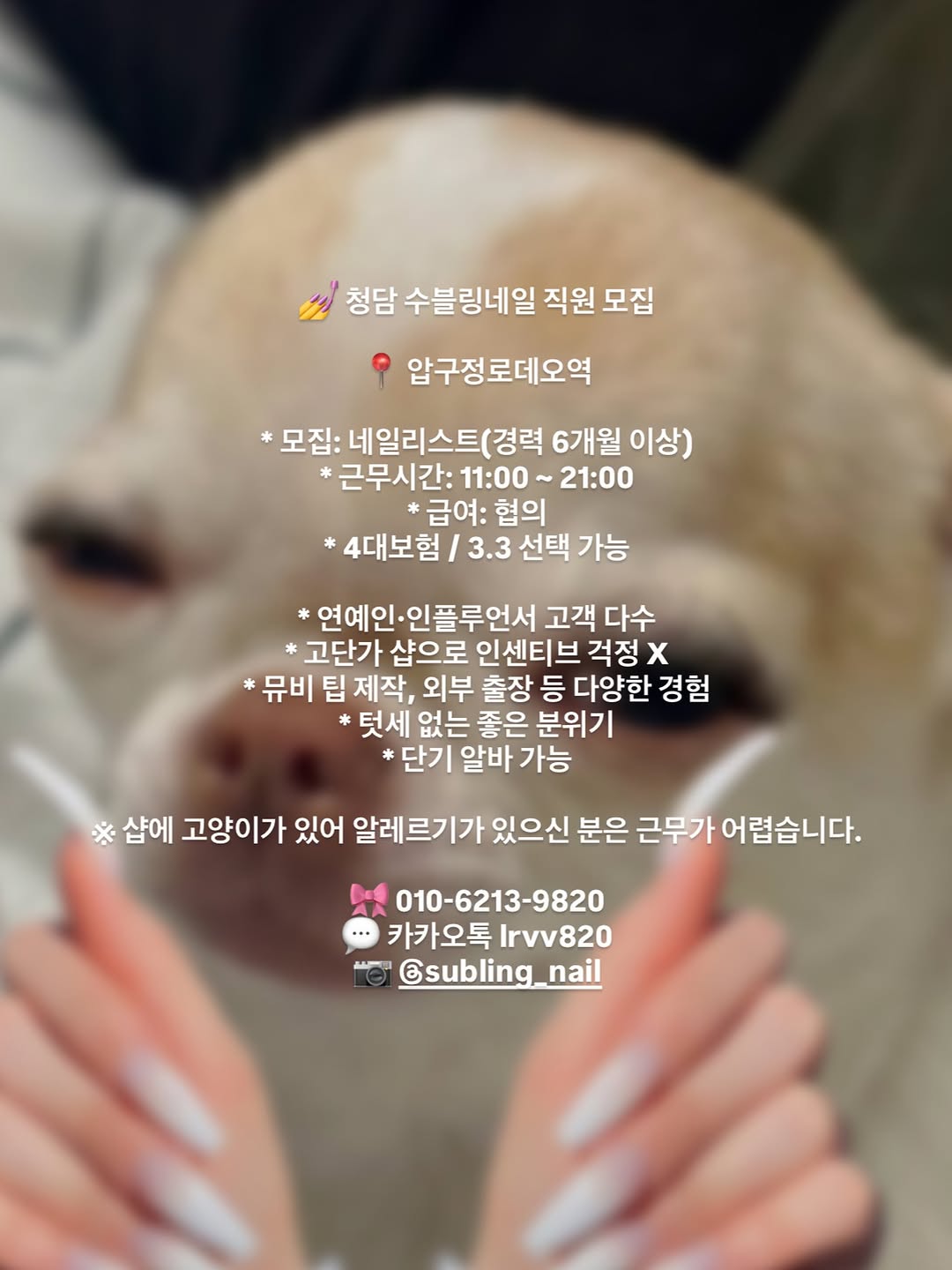 많은 지원 기다립니다!🤍 저랑 함께 성장해나가요•••☁️