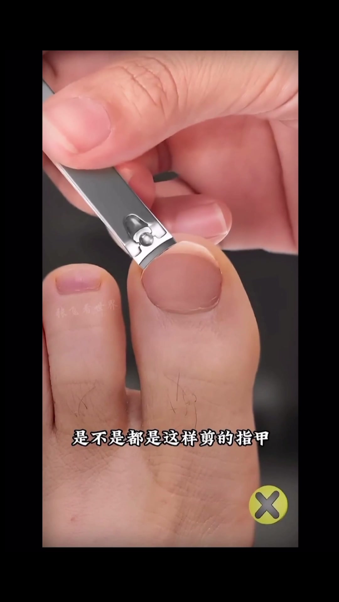 抖音/TikTok 台灣 其他 知識 post thumbnail