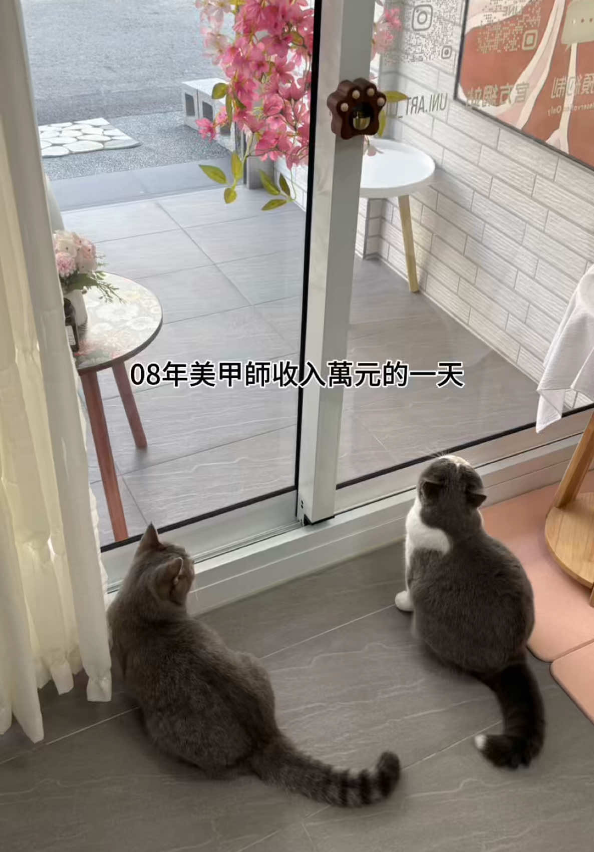 抖音/TikTok 台灣 繁中 知識 post thumbnail